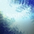 :iconfox1627: