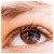 :iconfox34: