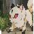 :iconfox993: