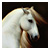 :iconfoxfire-z: