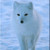 :iconfoxismyangel: