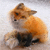 :iconfoxkehplz: