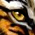 :iconFoxleopard: