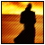:iconFoxLight:
