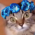 :iconfoxofthesilverfire: