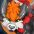 :iconfoxonthewater: