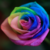 :iconfoxpaw-designs: