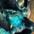 :iconfoxpee: