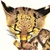 :iconfoxpuff: