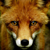 :iconfoxspookymulder: