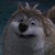 :iconfoxus: