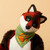 :iconfoxwinger: