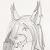 :iconfoxx1389: