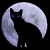 :iconfoxxfire5: