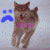 :iconfoxxsteps: