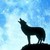 :iconfoxy-power101: