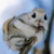 Foxy-Scarecrow :iconfoxy-scarecrow: