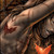 :iconfoxynocturna: