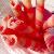 :iconfoxypumpkin15: