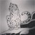 :iconfoxyrunner: