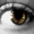 :iconfoxysunshine5000: