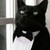 :iconfozz-sei-bozz: