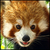 :iconfp-kannata:
