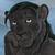 :iconfpanther: