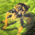 :iconfracdelik: