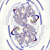 :iconfractalist1: