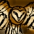 :iconFracturedReality: