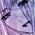 :iconfragile-studio: