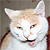 :iconfragileana: