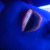 :iconfragilefish: