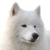 :iconfragilespiral: