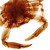 Fragments-of-a-Pawn :iconfragments-of-a-pawn: