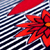 :iconfrailmoth: