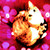 :iconfraiseberry: