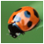:iconfraldinhas: