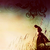 :iconfranasp: