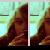 :iconfranbakercake: