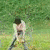 :iconfranchement13: