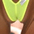:iconfranciaoui: