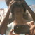 :iconfrancielecica: