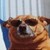 francois1470 :iconfrancois1470: