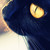 :iconfrank-hui: