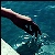 :iconfrank-xvier: