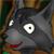 :iconFrankAdamek: