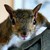 :iconfrankdoobee: