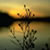 :iconfrankwolfephotograph: